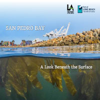 San Pedro Bay: A Look Beneath the Surface Harbor Habitat Update (Describing the 2018 Biological Surveys)