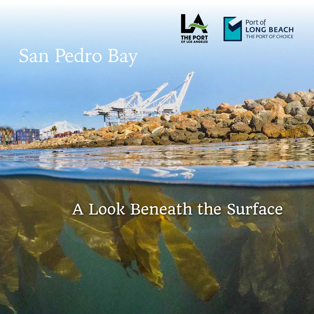 San Pedro Bay: A Look Beneath the Surface Harbor Habitat Update (Describing the 2018 Biological Surveys)