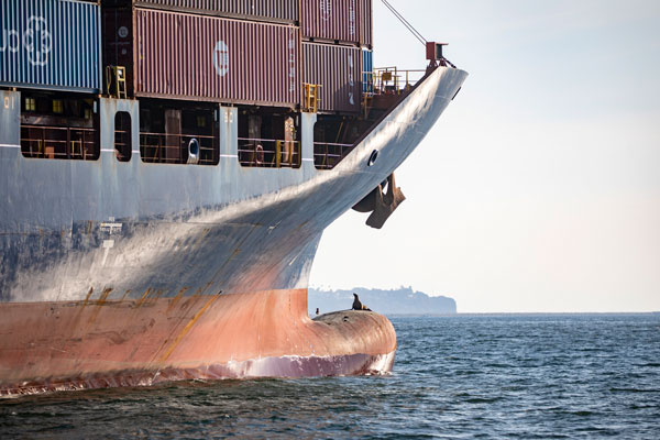 Maersk vessel at sea