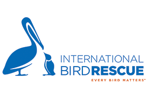 International Bird Rescue