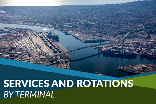Services and Rotations by Terminal
