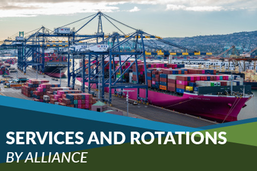 Services and Rotations by Alliance