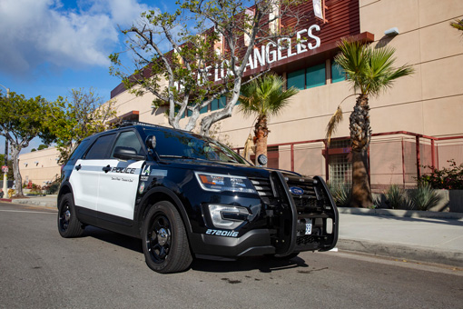 View Crime Statistics