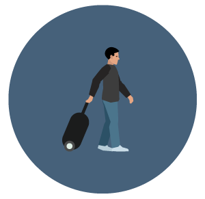 Cruise Ship Icon
