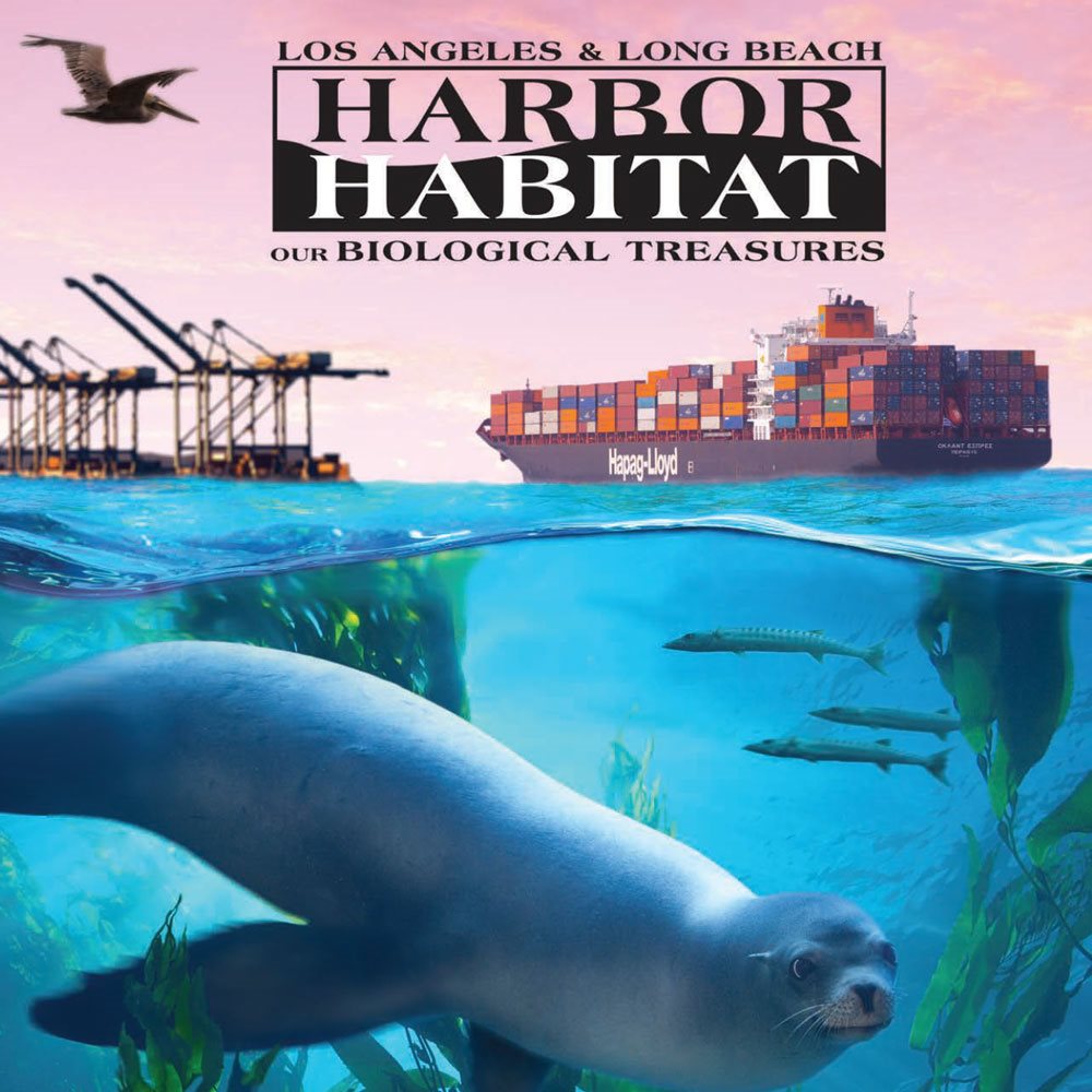 Harbor Habitat Update (Describing the 2008 Biological Surveys)