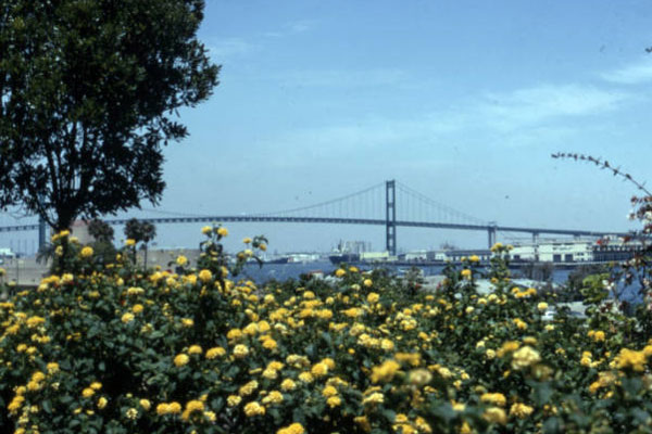 Los Angeles Public Library Photo Collection