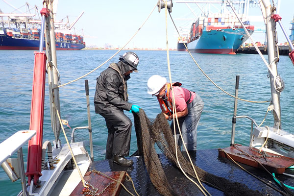 How Do We Sample Harbor Habitats?