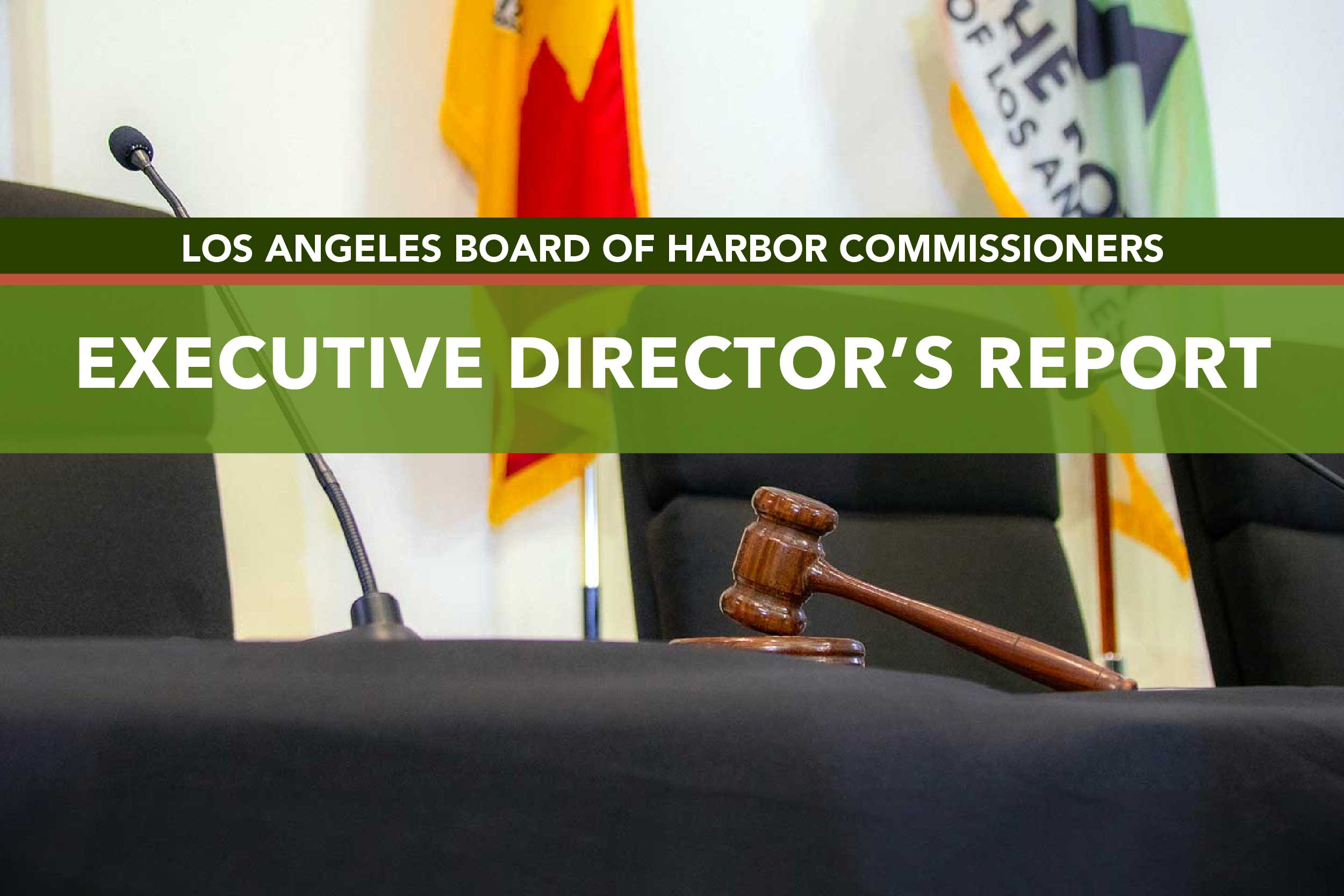 Executive Director's Report