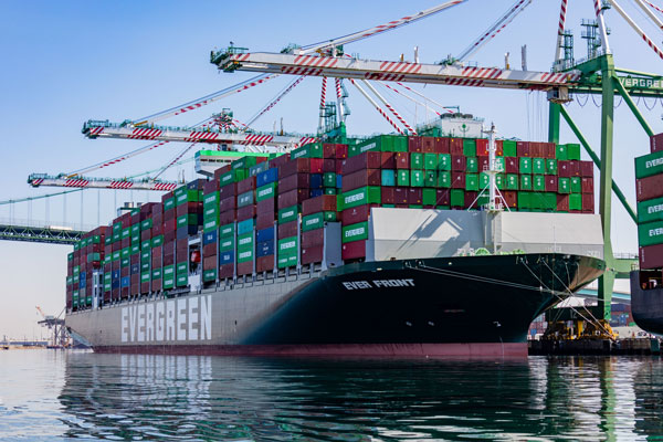 Vessel Statistics