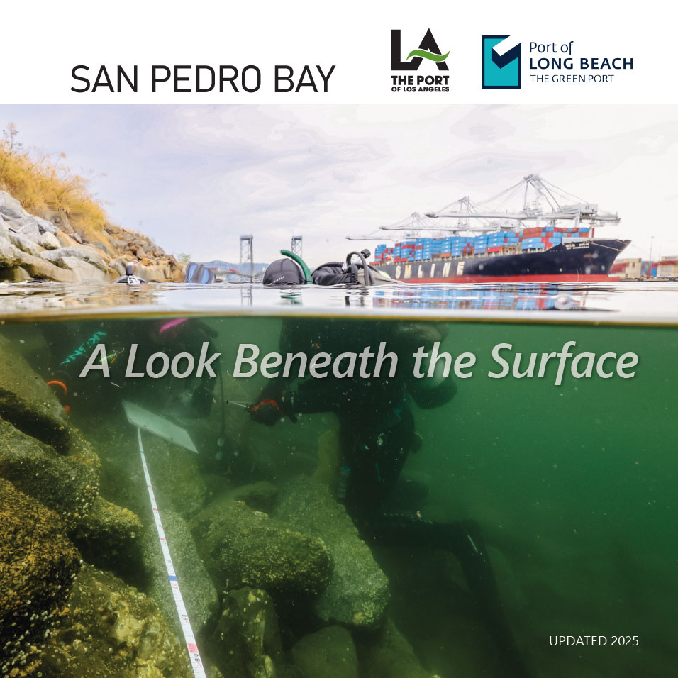 San Pedro Bay: A Look Beneath the Surface (Describing the 2023 Biological Surveys)