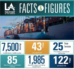 Facts & Figures Card